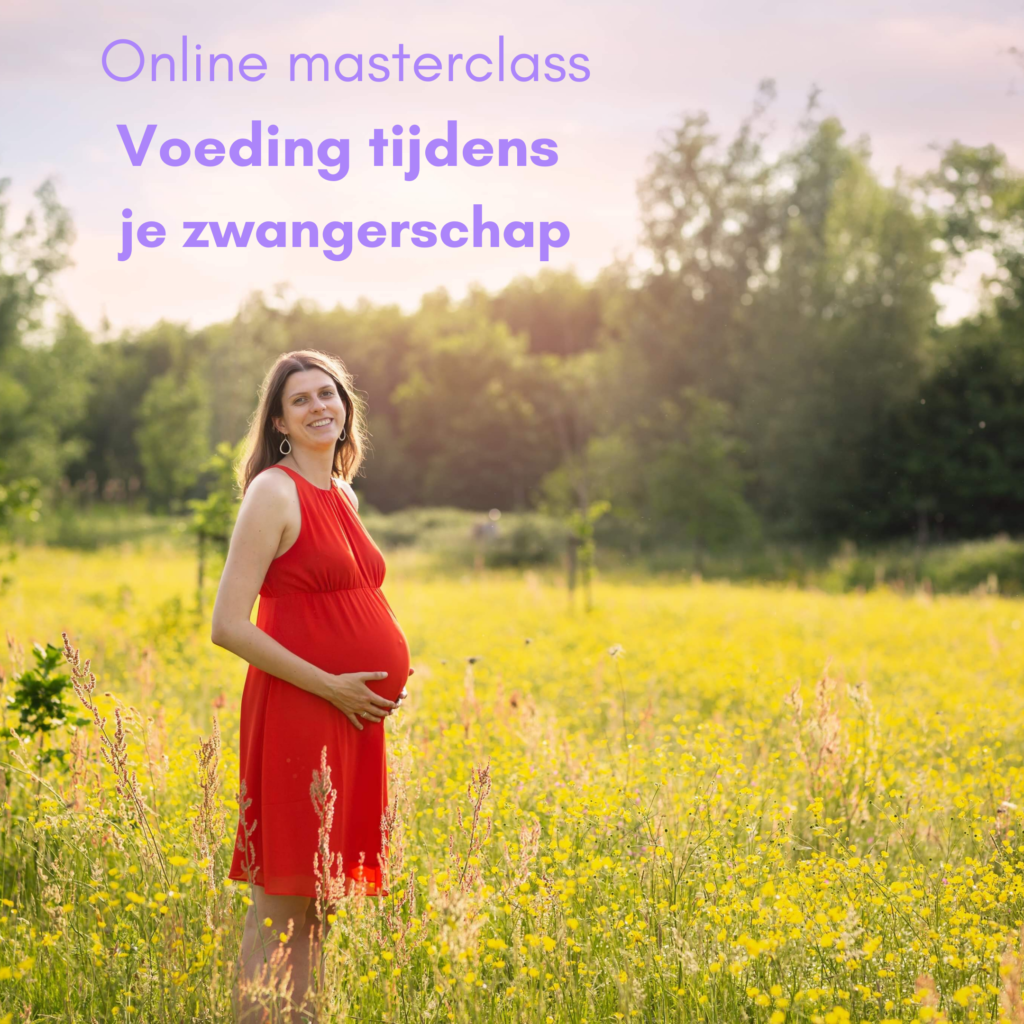 Online masterclass Voeding tijdens je zwangerschap - Silke Desaever - diëtiste & lactatiekundige - Kortrijk en online
